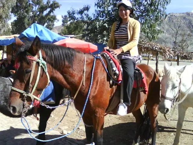 Chica de 30 busca chico para hacer pareja en La paz, Bolivia