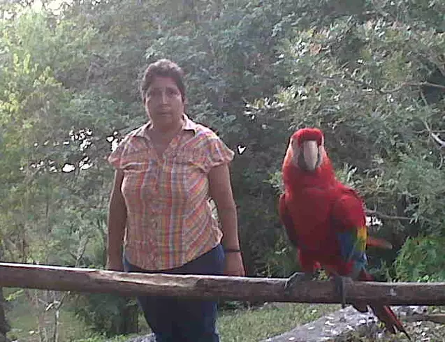 Mujer de 60 busca hombre para hacer pareja en Guatemala